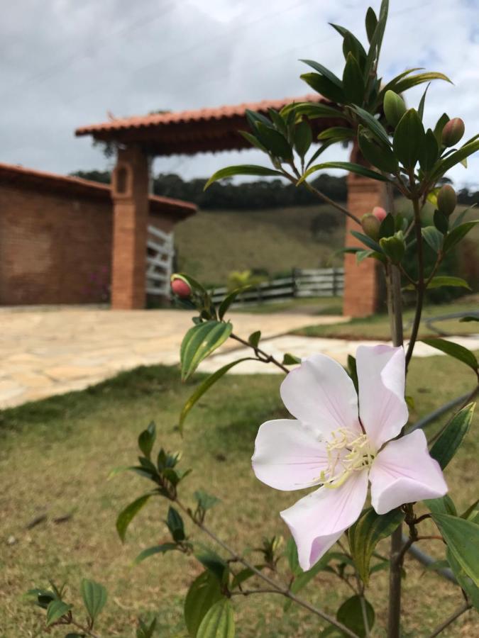 Chales Alternativa Sitio Conceição da Ibitipoca Eksteriør billede